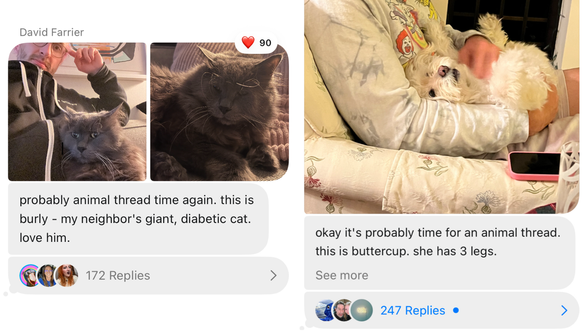 Your invite to Webworm Chat (a bit like Reddit)
