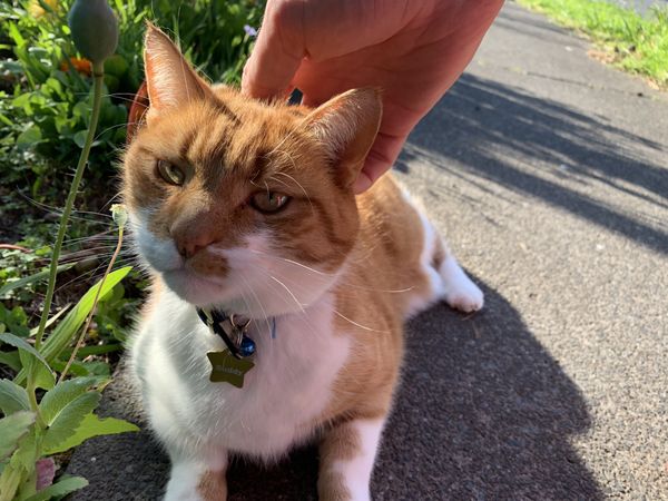 Imposter Syndrome and the Urge to Poop