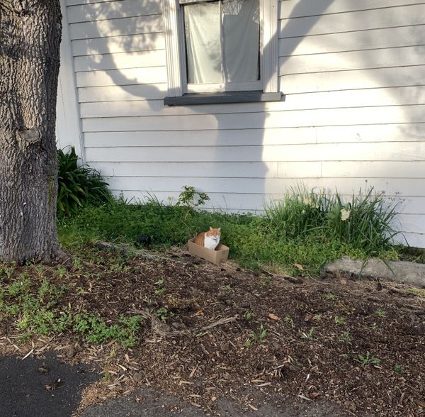 A heartfelt thanks, and an AMA