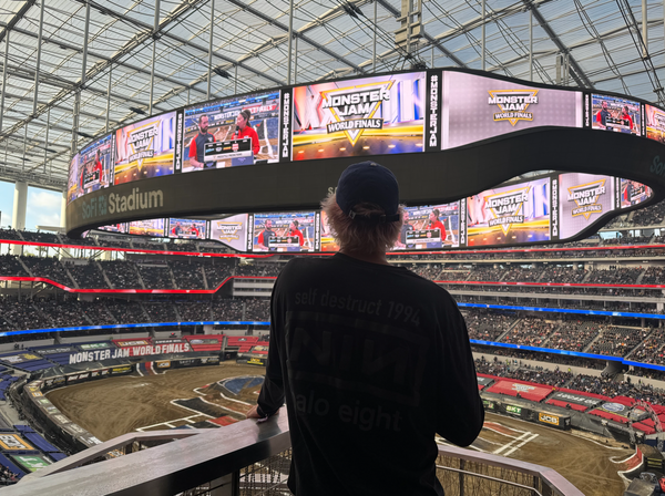 Web of Chaos, Secret Dolphins & Monster Truck Madness