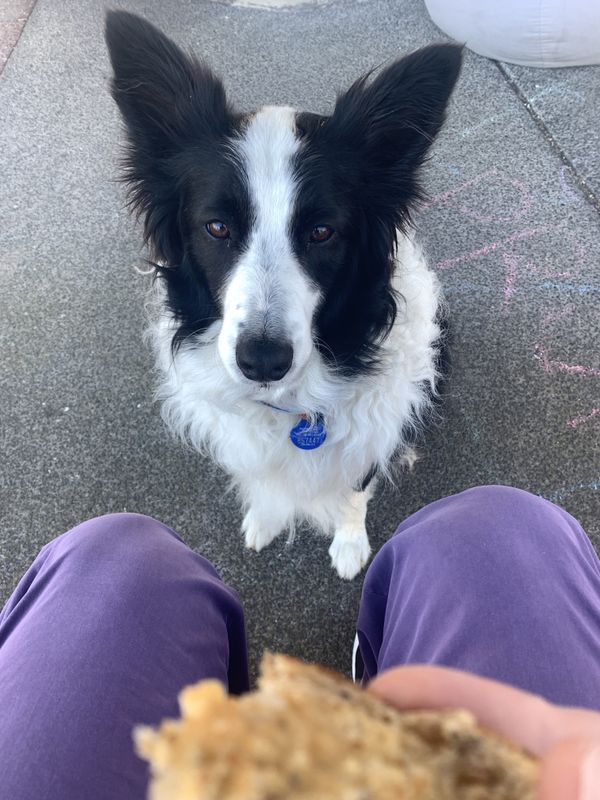 Here in New Zealand, sanity prevails