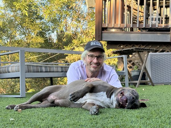 Rating The Reply Guys