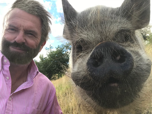 Sam Neill with pig
