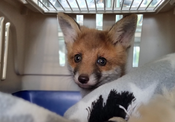 Weekend Recommendations