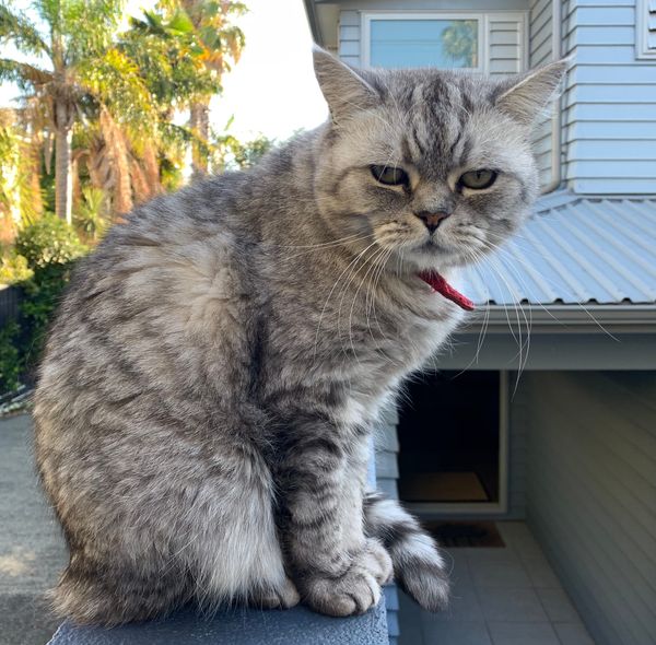 Thanks for being a part of Webworm’s family!