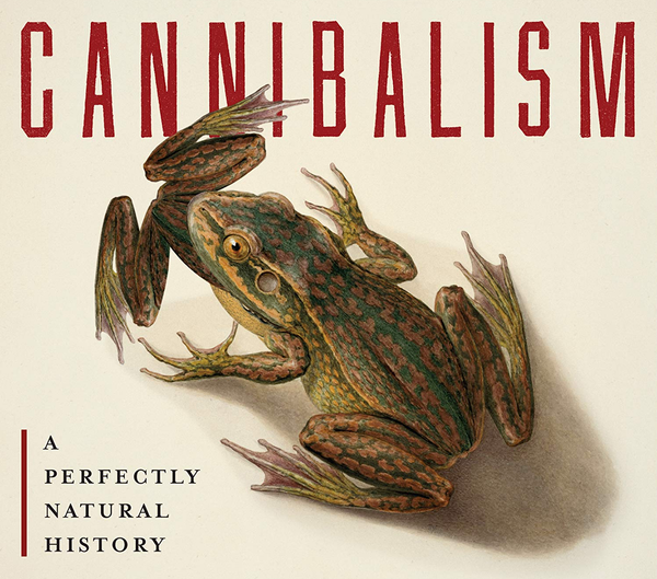 New Armchaired & Dangerous: Cannibalism!