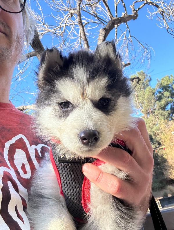 How Do We Fight Back?