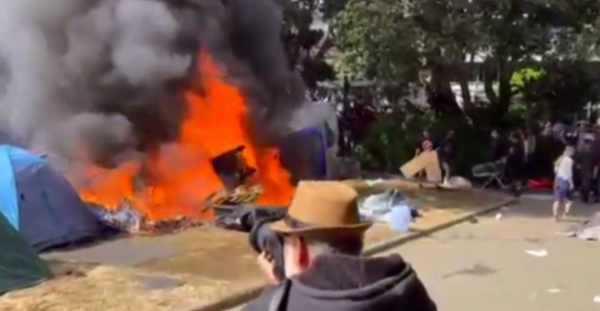 Looking back at the Wellington Riots