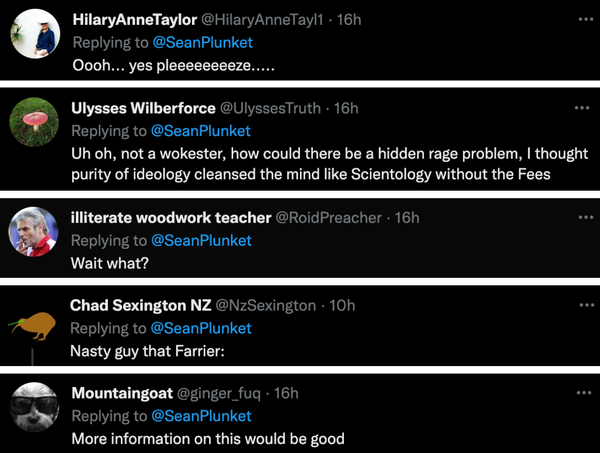 Sean Plunket Defames Me