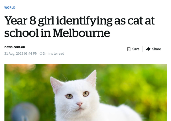 The Art of Laundering (Fake) News