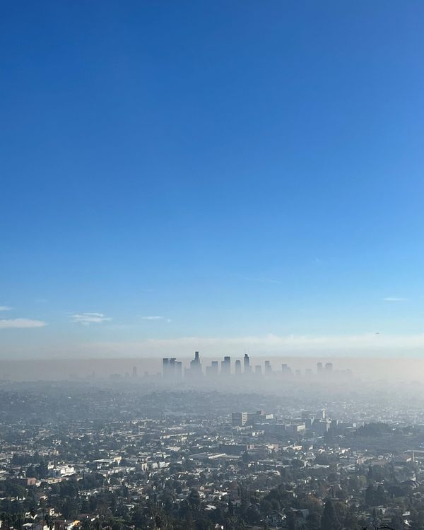 The schadenfreude of anti-vaxxer deaths