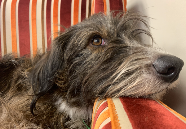 Friday Open Thread: I'm taking your questions all day, here. 