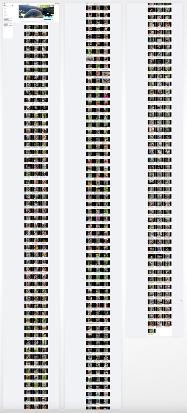 Facebook Has an Animal Torture Empire