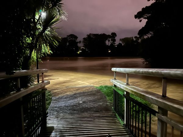 Checking In On A Flooded Auckland