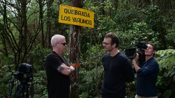 Webworm: what a subscription looks like!