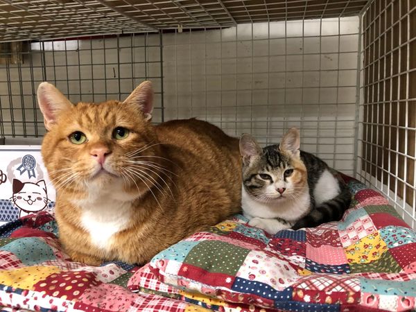 I talk to someone who just got the Pfizer/BioNTech vaccine