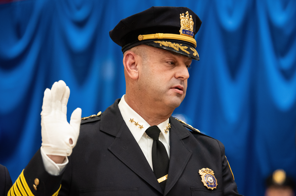 The Browns Bay Bird Poisoner