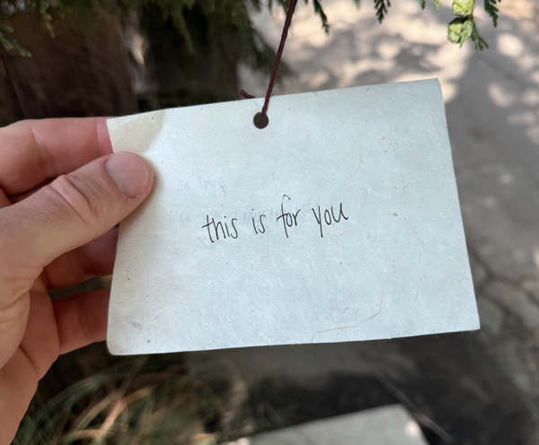 I Found a Note in a Tree