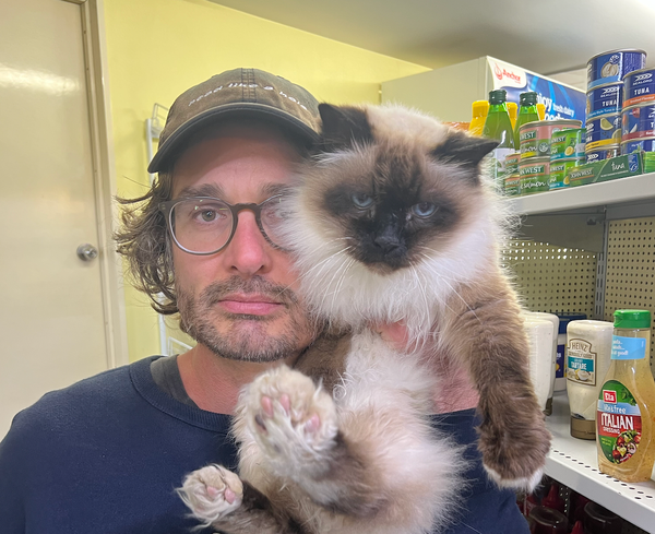 New Zealand vs America vs My Spine