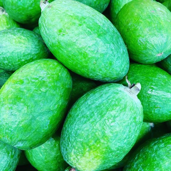 Bonus Content: James from Simply Fresh