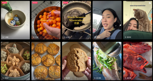 Why the TikTok Ban Was Just a Stunt