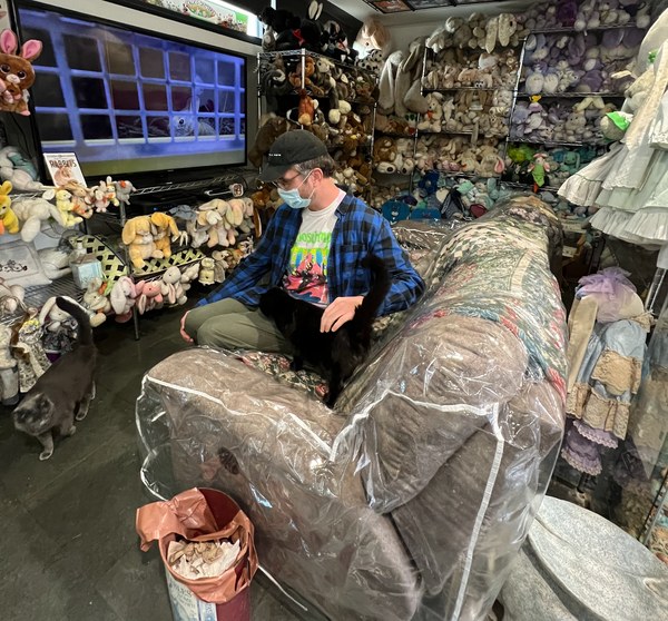 Rabbit Holes at the Bunny Museum