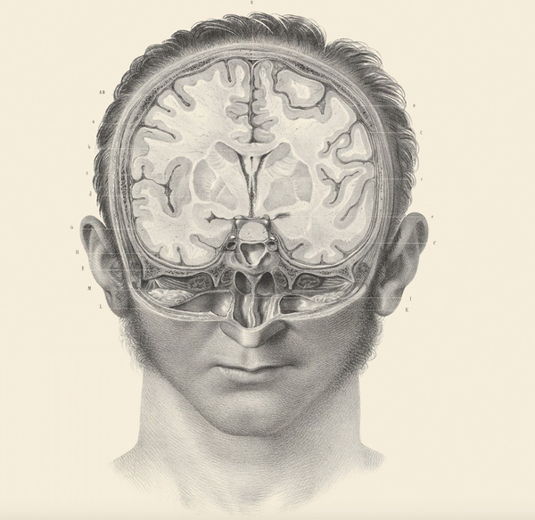 Want to cure this conspiracy hell? Turn off Facebook, Twitter and Instagram.