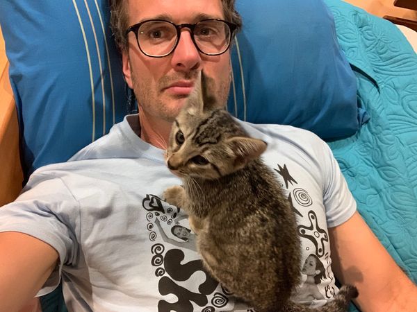 Webworm has a logo, and a proper address!