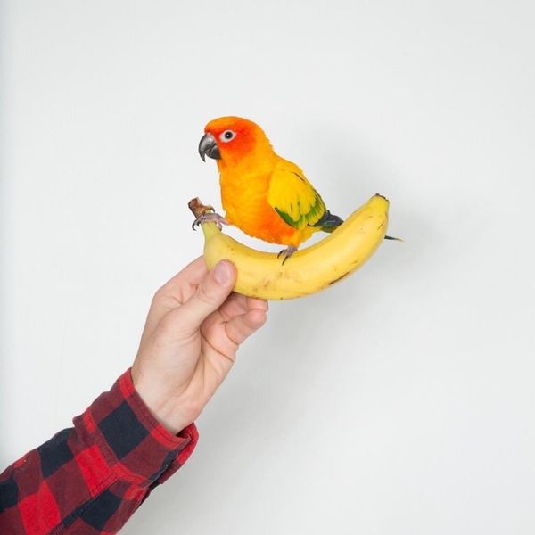 A Loveless Marriage I Can't Escape