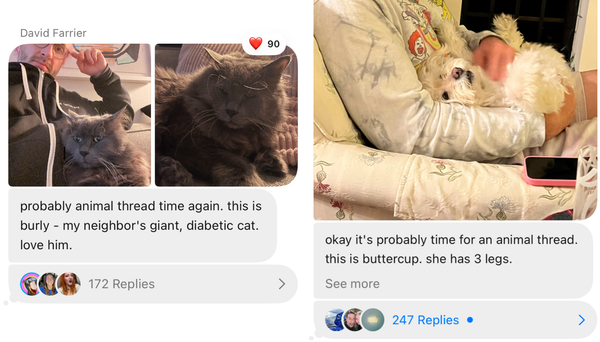 Your invite to Webworm Chat (a bit like Reddit)