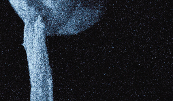 "I Wanted, So Badly, To See His Face"