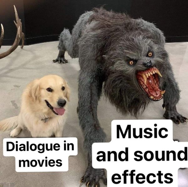 Being screamed & whispered at simultaneously