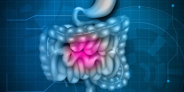 ФУНКЦІОНАЛЬНІ РОЗЛАДИ ТРАВНОЇ СИСТЕМИ