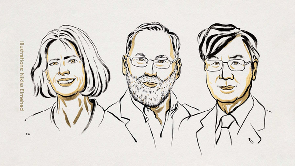 Нобелівська премія з медицини 2025: як відкриття імунних «гальм» формує нову еру у фармації