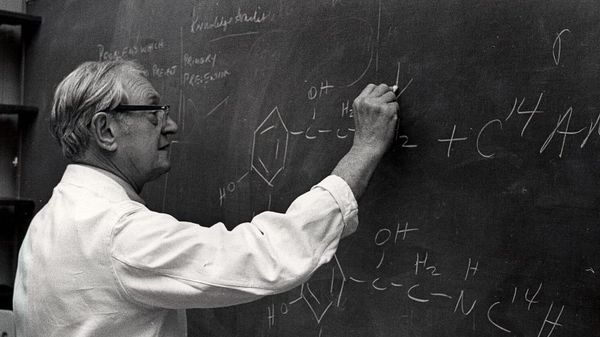 Парацетамол: «зірка», відкрита двічі