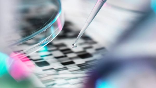 Геномний скринінг виявляє приховані ризики раку і серцево-судинних хвороб у молодих дорослих