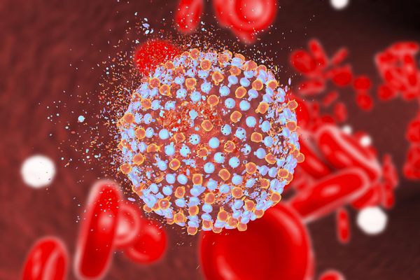 Україна отримала препарат для лікування дітей з гепатитом С: ліків вистачить для 10 пацієнтів