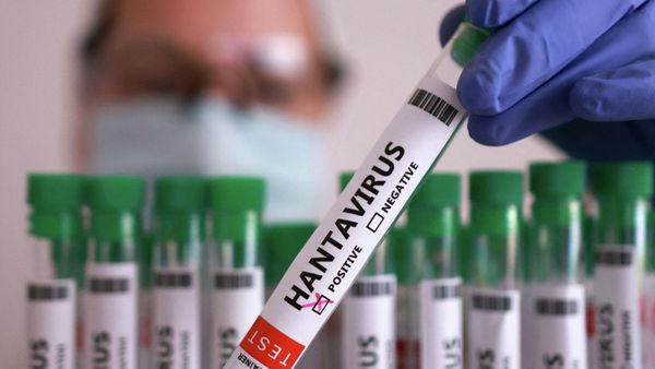 Небезпечний хантавірус: у Польщі розпочали карантинні заходи