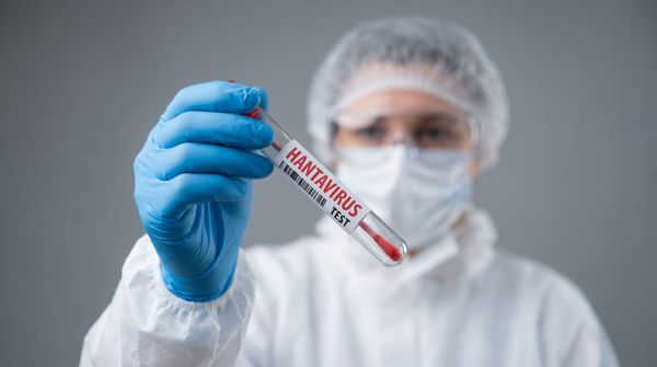 Чи загрожує Україні спалах хантавірусної інфекції на прифронтових територіях?