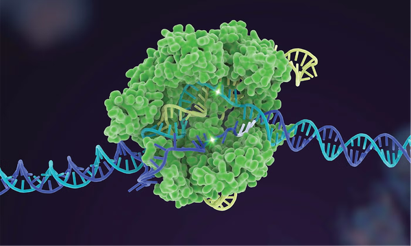 Перші схвалені препарати на основі CRISPR-технологій: нова ера генної терапії