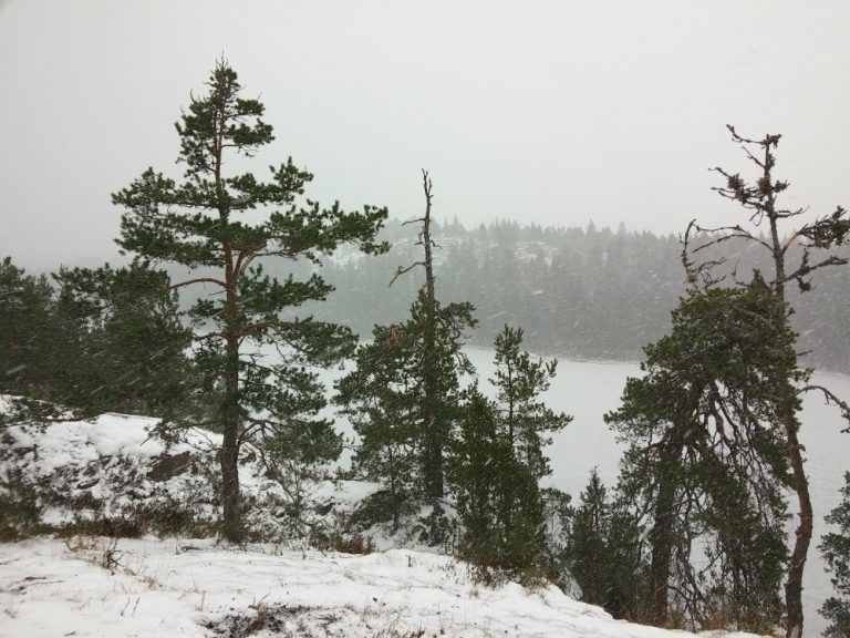 kallio-mustjarvi_ni-768x576