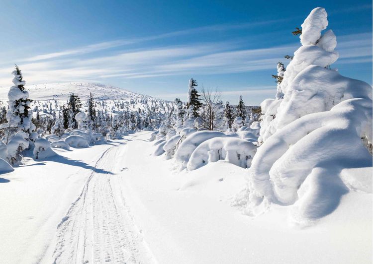 Karttaselaimen toimintojen käyttö talviharrastuksissa