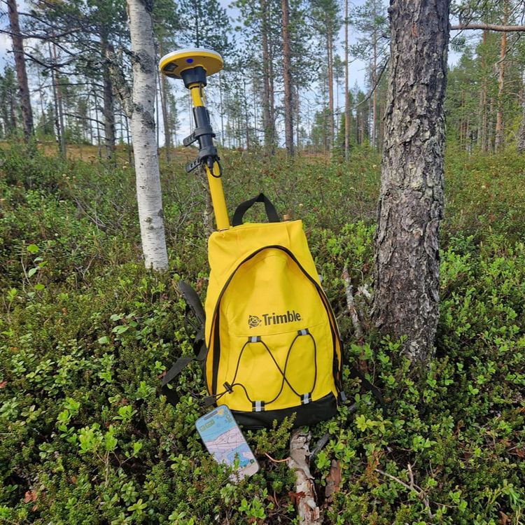 Miten löytää rajapyykki maastosta? Metsäalan ammattilaiset kertovat kokemuksistaan
