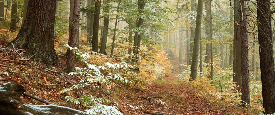 Karttaselaimen tukemat käyttöjärjestelmät