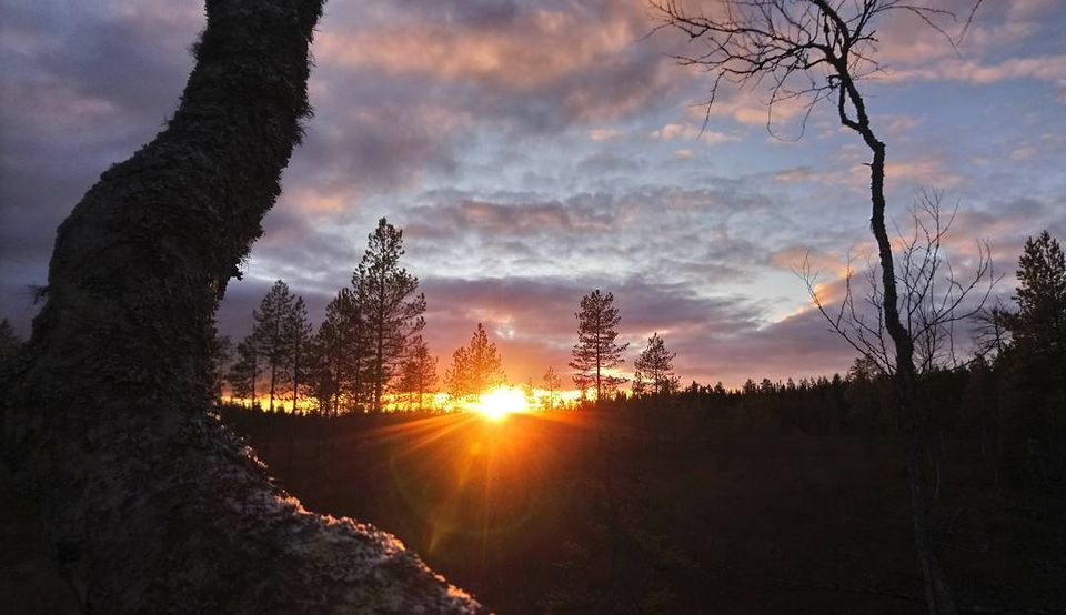 Karttaselaimen kuvakisa on ratkaistu