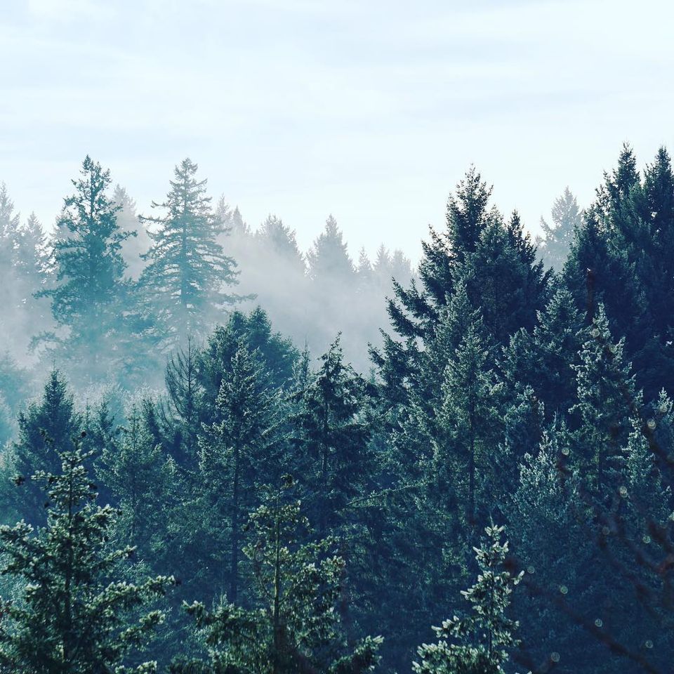 Selaa uusimpia ilmakuvia Karttaselaimessa