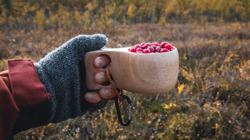 Syksyn luontokohteet