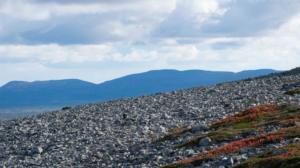 Retkipäiväkirja: Pyhä-Luoston kansallispuisto