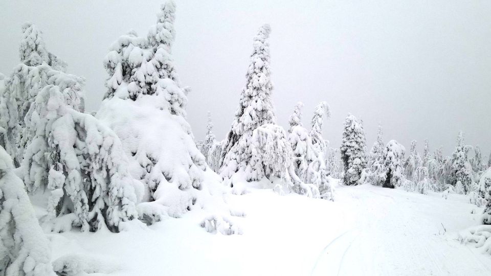 Harmittaako harmaus? Tässä lista mukavaa ajanvietettä alkutalveen!