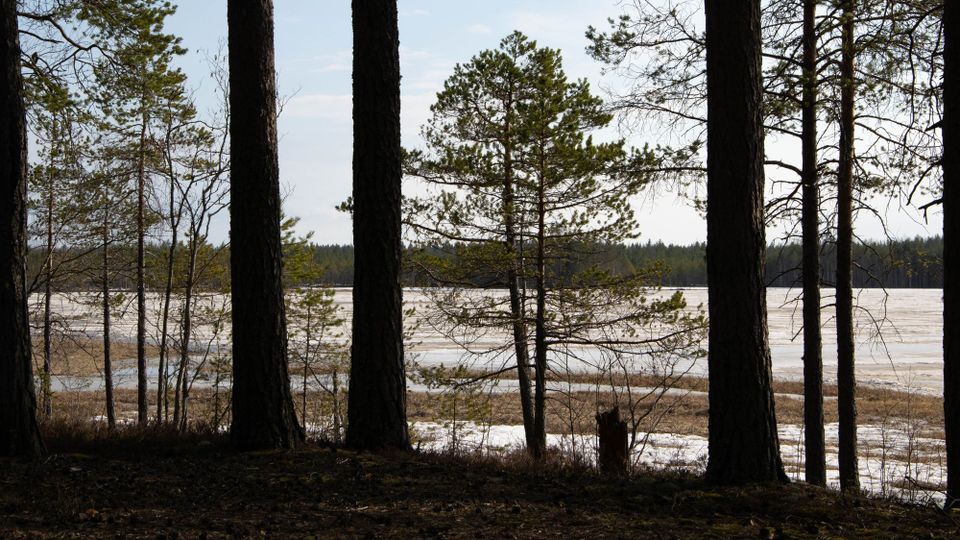 Karttaselaimen vinkit kevätluontoon
